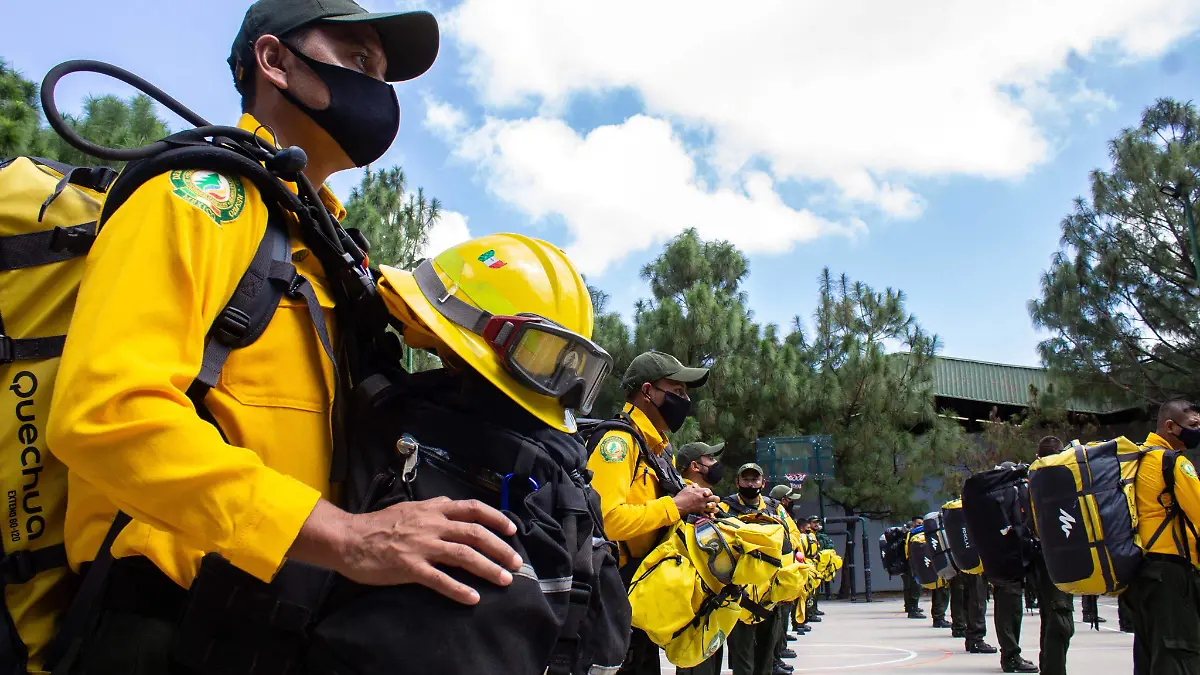 mexico apoya eu incendios forestales